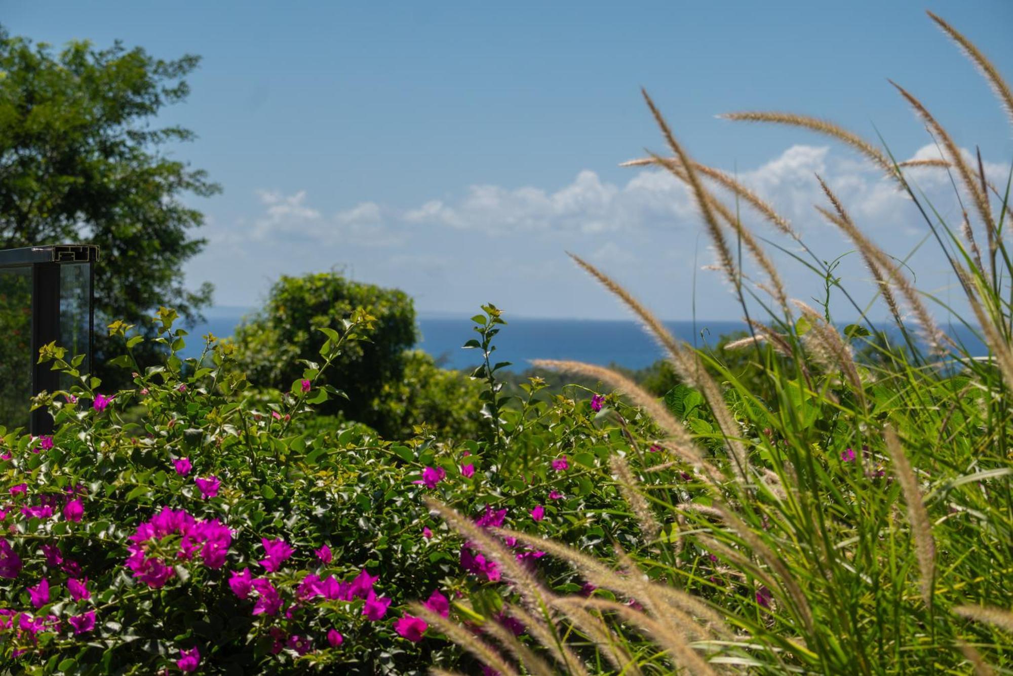 Tropic & Chic Villa Sainte-Anne Kültér fotó